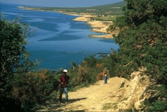 Cyprus_Akamas_Hiking_4_lrg.jpg
